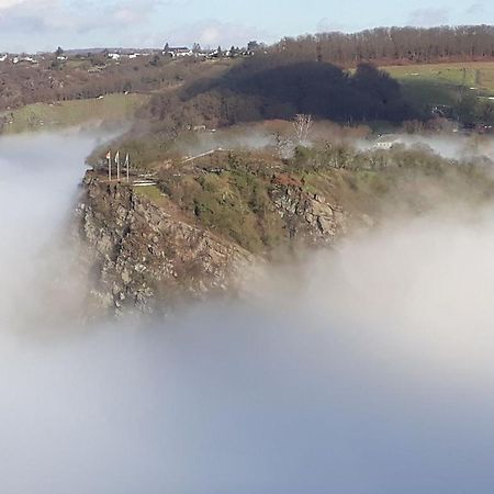 Ferienwohnung 554 - Urbar, Vis-A-Vis Der Loreley Urbar  المظهر الخارجي الصورة