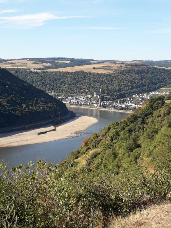 Ferienwohnung 554 - Urbar, Vis-A-Vis Der Loreley Urbar  المظهر الخارجي الصورة