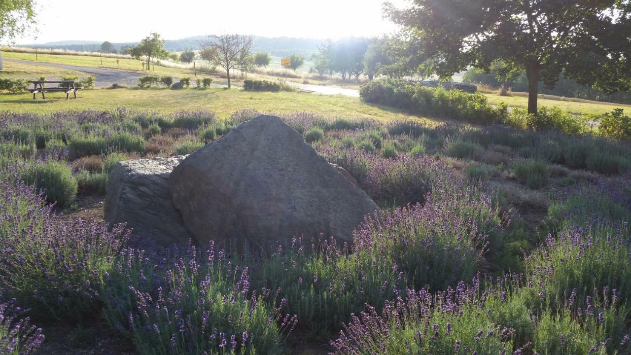 Ferienwohnung 554 - Urbar, Vis-A-Vis Der Loreley Urbar  المظهر الخارجي الصورة