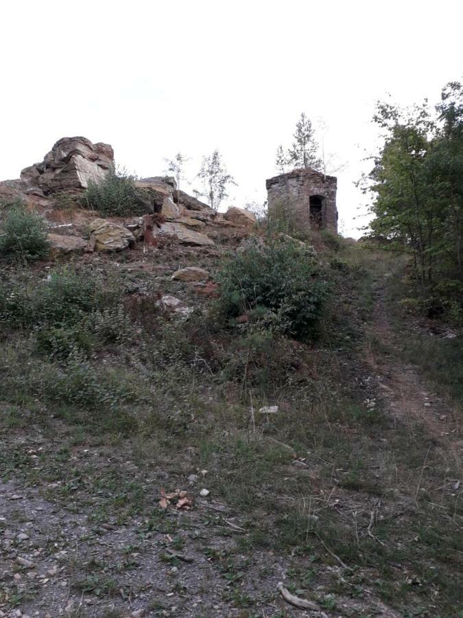 Ferienwohnung 554 - Urbar, Vis-A-Vis Der Loreley Urbar  المظهر الخارجي الصورة