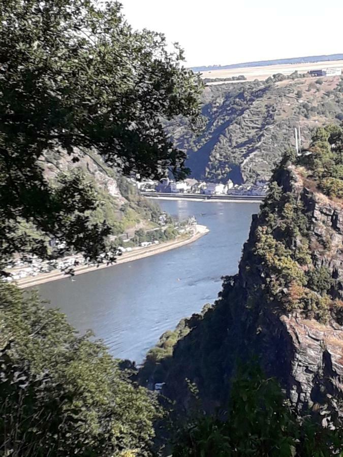 Ferienwohnung 554 - Urbar, Vis-A-Vis Der Loreley Urbar  المظهر الخارجي الصورة